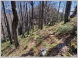 Slika_027.webp