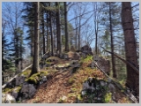 Slika_028.webp