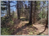 Slika_029.webp