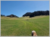 Slika_036.webp