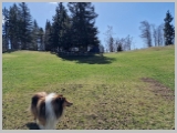 Slika_037.webp