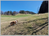 Slika_057.webp