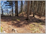 Slika_063.webp