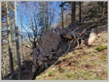 Slika_064.webp