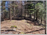 Slika_067.webp