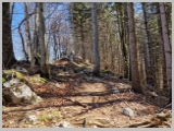 Slika_069.webp