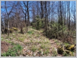 Slika_070.webp