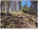 Slika_075.webp