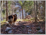 Slika_077.webp