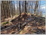 Slika_089.webp