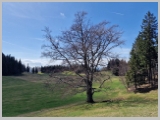 Slika_097.webp