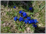 Slika_098.webp