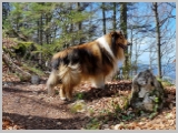 Slika_105.webp