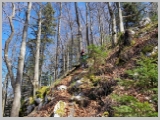 Slika_107.webp