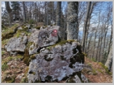 Slika_109.webp