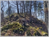 Slika_111.webp