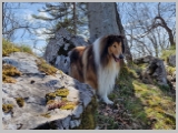 Slika_113.webp