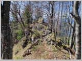 Slika_115.webp