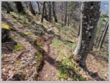 Slika_116.webp