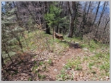 Slika_118.webp