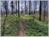 Slika_121.webp