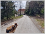 Slika_126.webp
