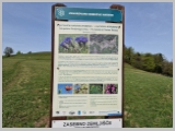 Slika_006.webp