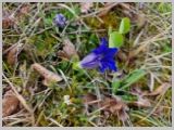 Slika_009.webp
