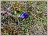 Slika_011.webp