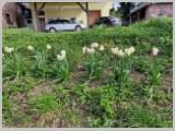 Slika_015.webp