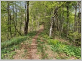 Slika_019.webp