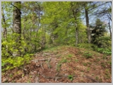 Slika_020.webp