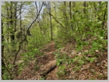 Slika_021.webp