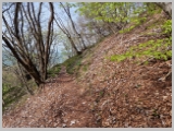 Slika_022.webp