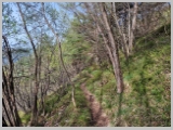 Slika_023.webp