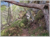 Slika_024.webp