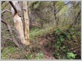 Slika_033.webp