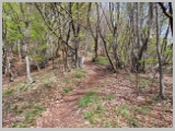 Slika_034.webp