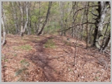 Slika_036.webp
