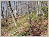 Slika_044.webp