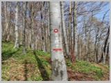 Slika_046.webp