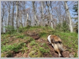 Slika_047.webp