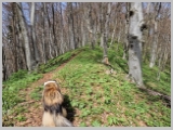 Slika_048.webp