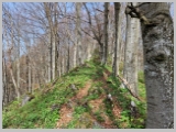 Slika_054.webp