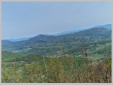 Slika_067.webp