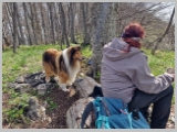 Slika_082.webp