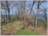 Slika_083.webp
