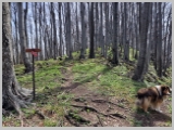 Slika_085.webp