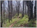 Slika_090.webp