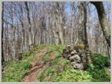 Slika_092.webp
